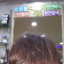 머리향기미용실 이미지