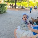 오스트리아 노르트케테&amp;인스부르크 이미지