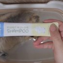 베베시오 이미지