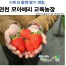 모아베리교육농장 이미지