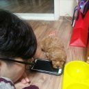 아이러브휴대폰 이미지
