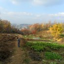 면중초등학교 이미지