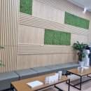 우성연합의원 이미지