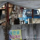 학평제 이미지