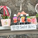 하얀사 | 제주 서귀포 가볼만한곳 제주 선채향 전복죽 전복칼국수 오픈런