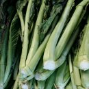 독천낭주골 이미지