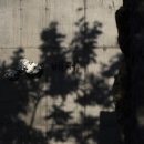 신효동-18 이미지