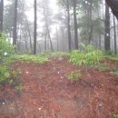 천방산농장 이미지