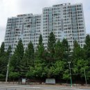 경희강남약국 이미지