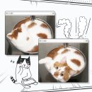 가야동물병원 이미지