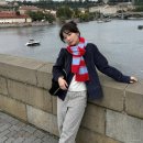 마메르시 이미지