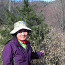 별마을농장 이미지