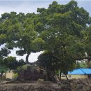 수산리-4 이미지