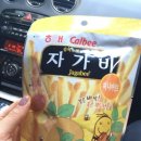김포현대바네사브루노