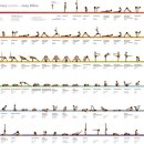 요가테스B 이미지