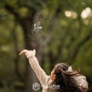 한라사진관 네이버블로그