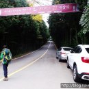 제주불교성지 순례길 절로 가는길 - 인욕의 길 네이버블로그