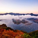 영광군 산림공원과 앞 이미지