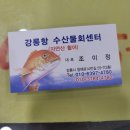강릉수산물판매장 이미지