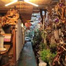 모텔돼지꿈 이미지