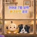 비지애드