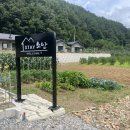 스테이 소안 네이버블로그
