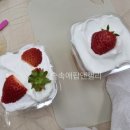 숲속애푸드