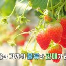 다솜농장 이미지