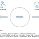 행정심판 119 이미지