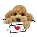 인동15길-5 이미지