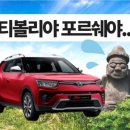 서베이제주