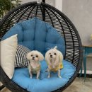 일광골드타워1차 이미지