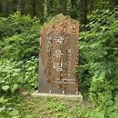 축령산금빛휴양타운 | 장성 축령산(621m) 편백숲(2025.6.6)