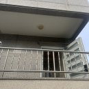 칠거제 | 거제 칠천도 펜션 후기｜반려견과 함께 다녀온 칠천도와라펜션 802호