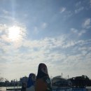 인천종합어시장 이미지