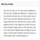 비혼제조기라는 운명의 상대 보여주는 운세 사이트 이미지