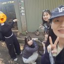 시드니로 떠나이요 (1) ✈️🐨🌳🌄