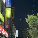 푸히일상 32 / 여름휴가