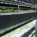 학자농장 이미지