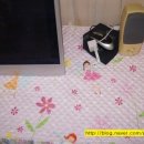 비산초등 병설 이미지