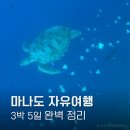 튜나퀸 | 마나도 자유여행 총정리｜3박 5일 일정·경비·환전·맛집·스노클링까지