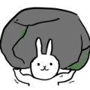 와우코인노래연습장 이미지