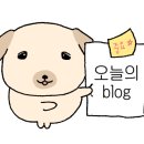 싱싱회마니