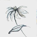 어반스케치B 이미지