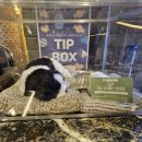 지에스25서초점 이미지