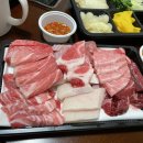 주실장참치 이미지