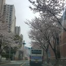 늘봄홍어와보쌈 이미지