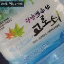 광양백운산서울대학술림고로쇠