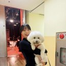 또 놀러와 이미지