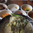 스타벅스 양산신기DT점